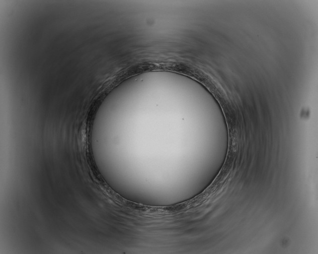 X0000103441298200809121051