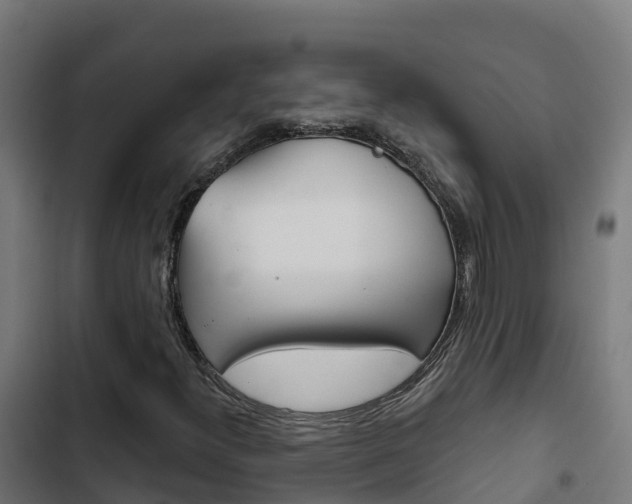 X0000103441300200809121051