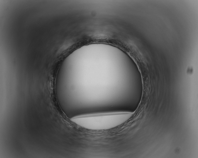 X0000103441301200809121051
