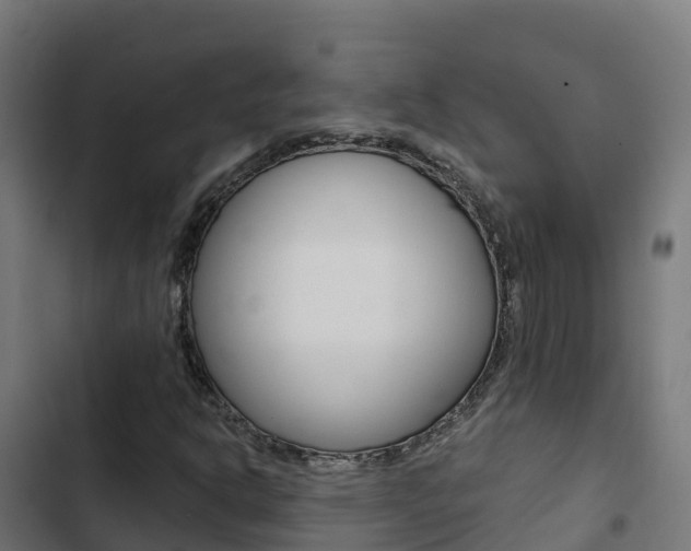 X0000103441302200809121051