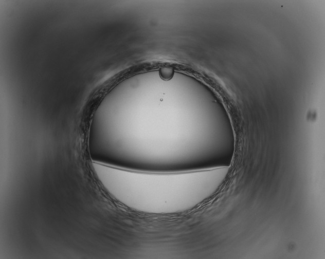 X0000103441303200809121051