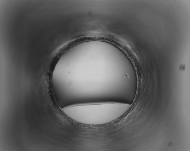 X0000103441304200809121051