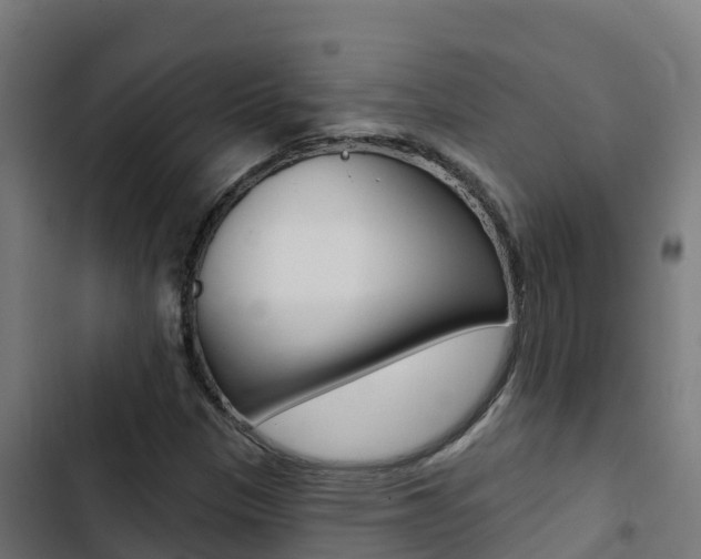 X0000103441305200809121051