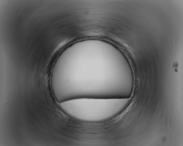 X0000103441306200809121051