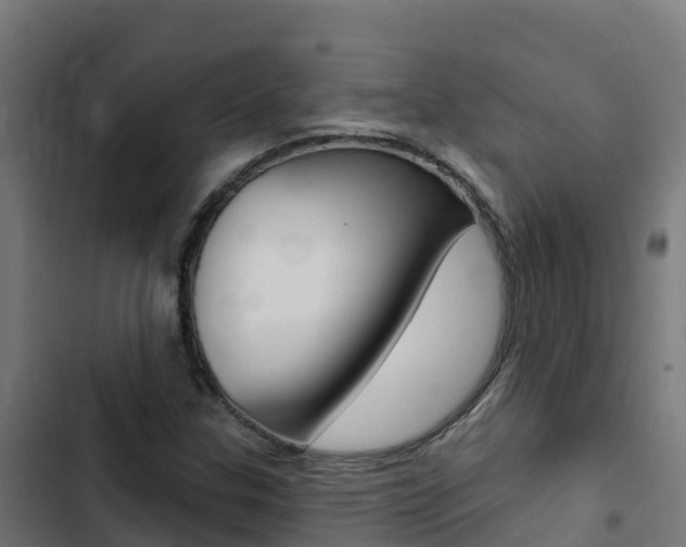 X0000103441307200809121051