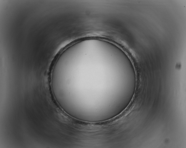 X0000103441308200809121051