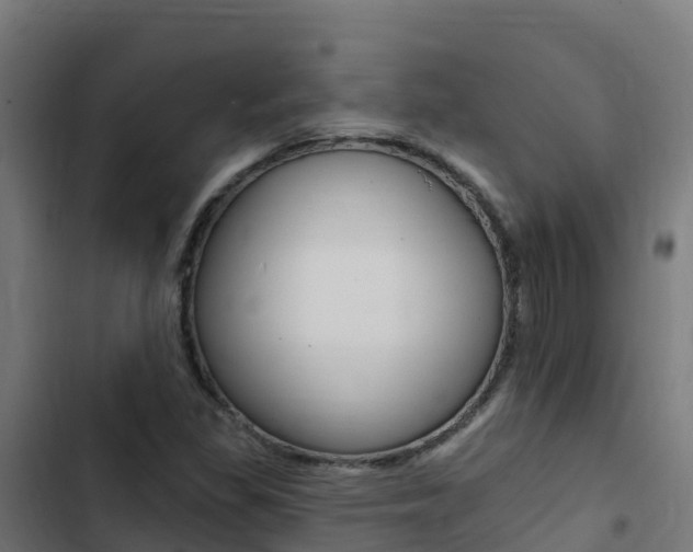 X0000103441309200809121051