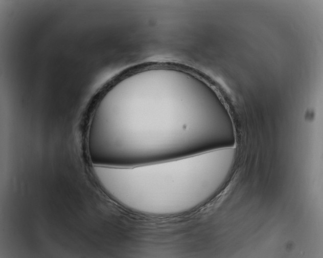 X0000103441311200809121051