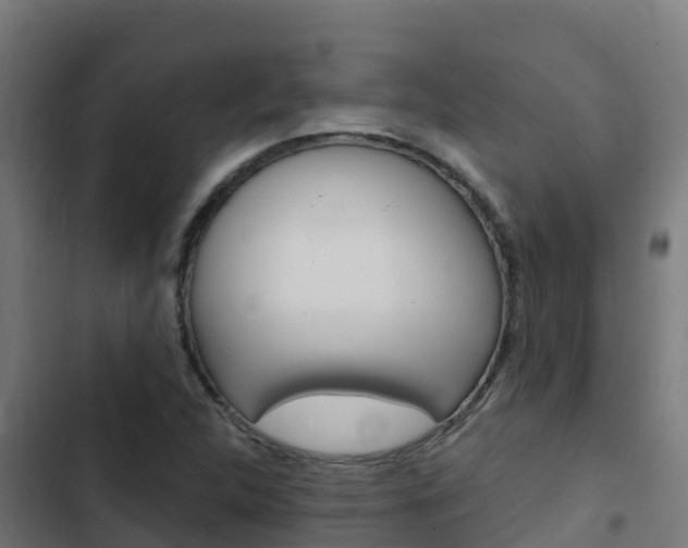 X0000103441312200809121051