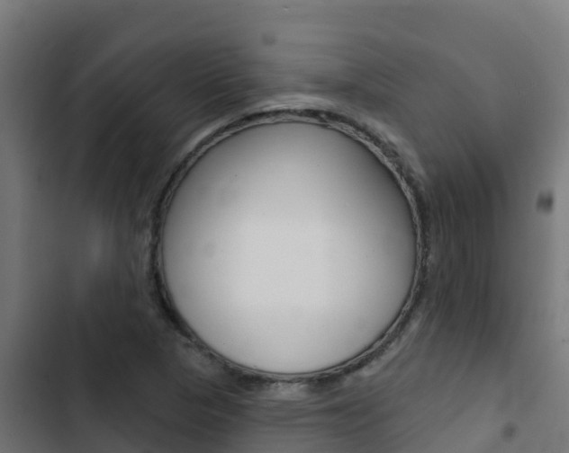 X0000103441313200809121051
