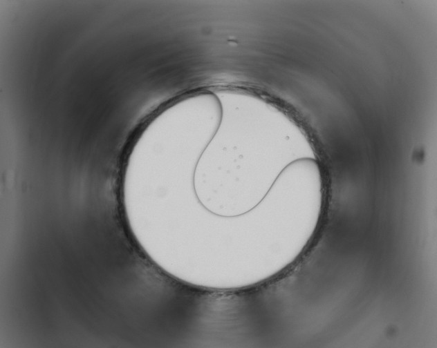 X0000103441314200809121051