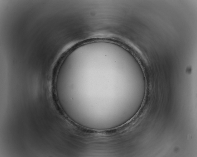 X0000103441315200809121051