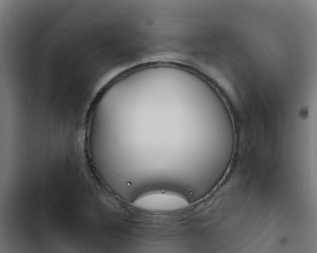 X0000103441316200809121051