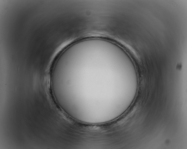X0000103441317200809121051