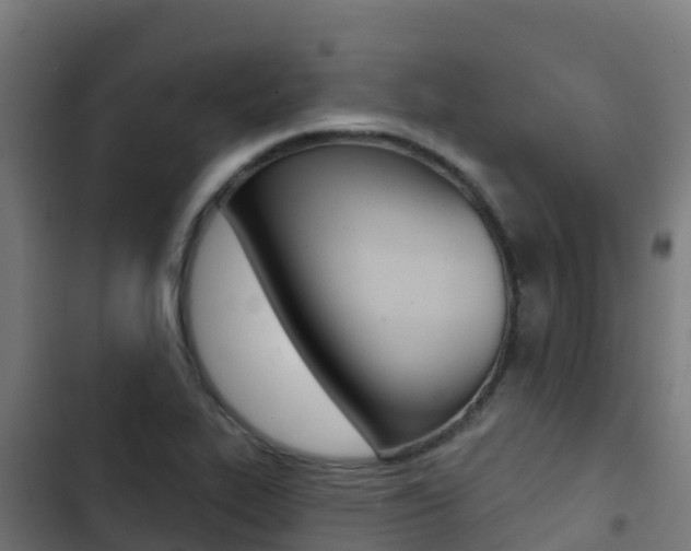 X0000103441319200809121052