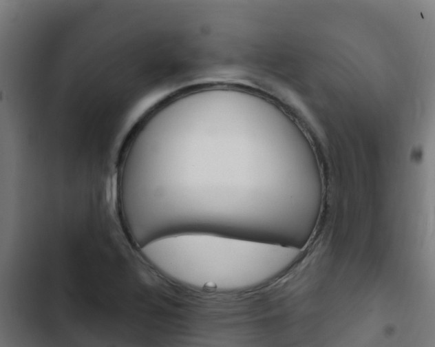 X0000103441320200809121052