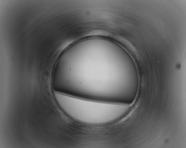 X0000103441321200809121052