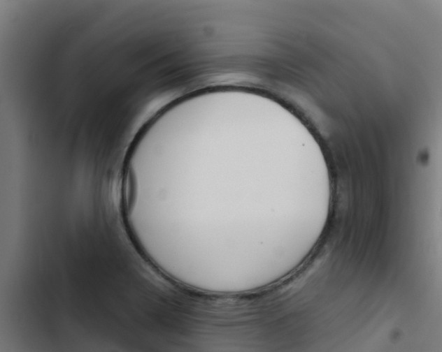 X0000103441322200809121052