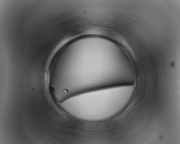 X0000103441323200809121052