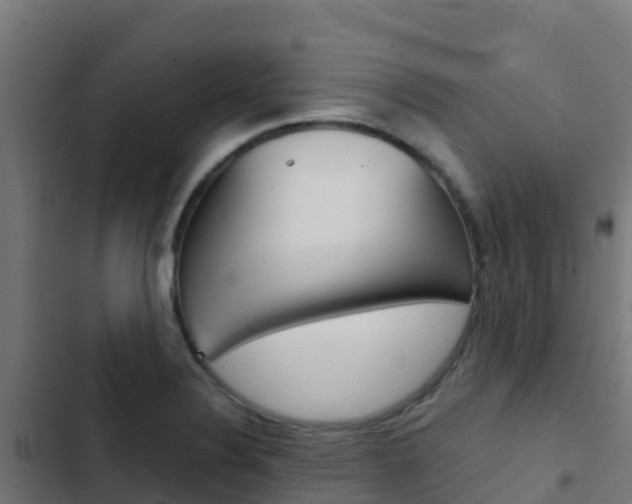 X0000103441324200809121052