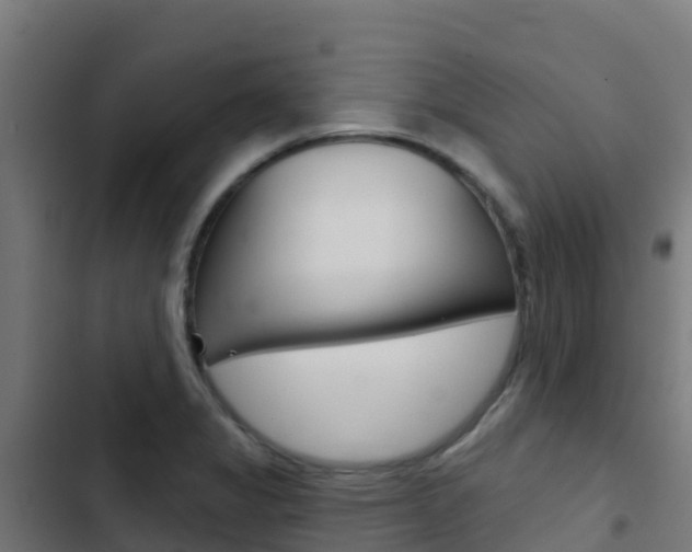 X0000103441325200809121052