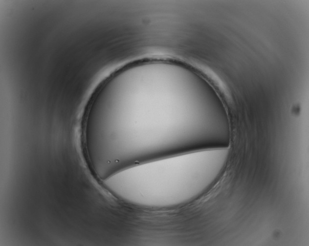 X0000103441327200809121052