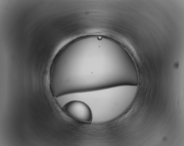 X0000103441328200809121052
