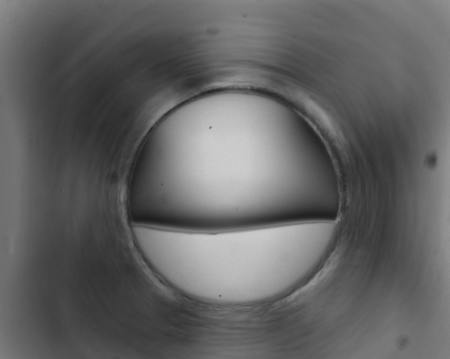 X0000103441329200809121052