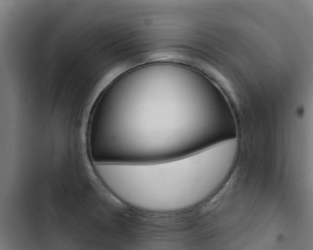 X0000103441330200809121052