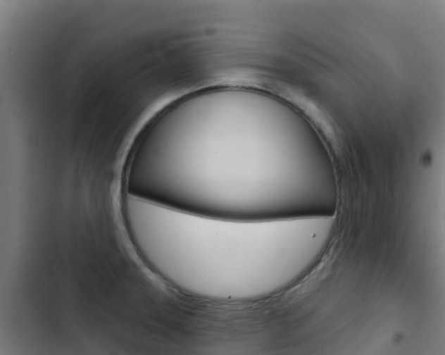 X0000103441331200809121052