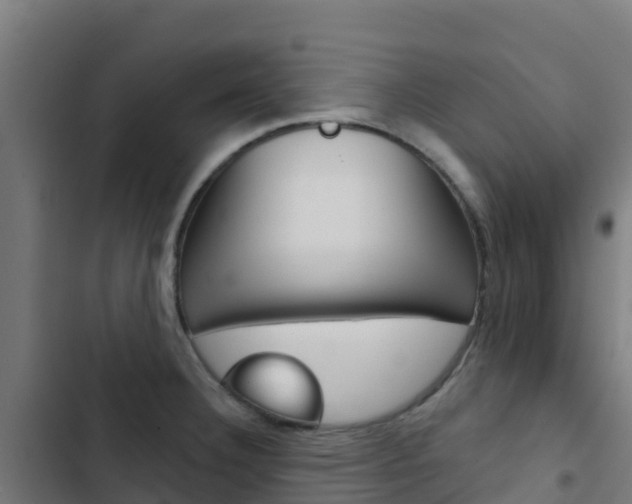 X0000103441332200809121052