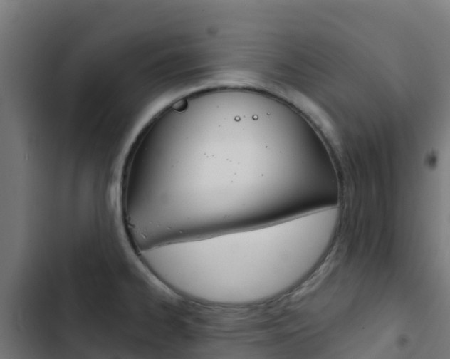 X0000103441334200809121052