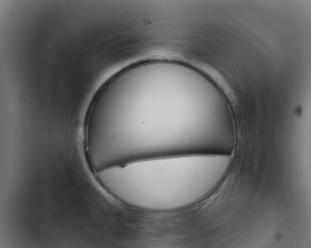 X0000103441335200809121052