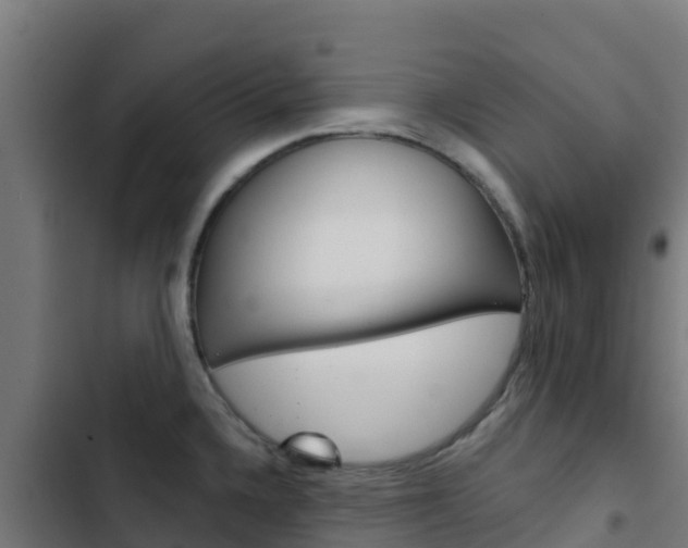 X0000103441336200809121052