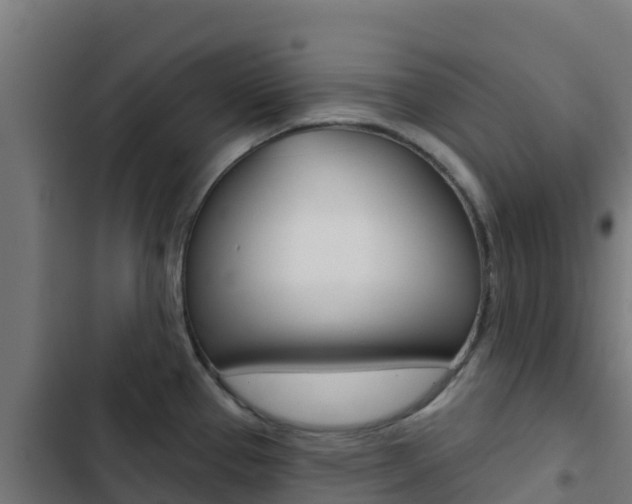 X0000103441337200809121052