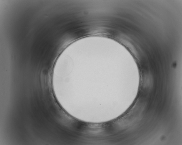 X0000103441338200809121052