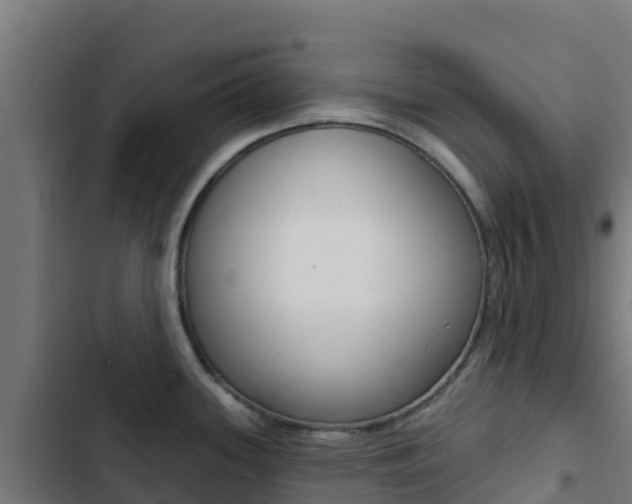 X0000103441339200809121052