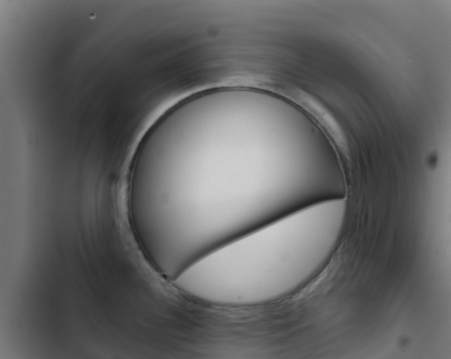 X0000103441340200809121052