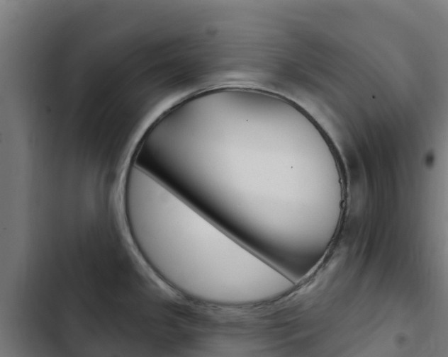 X0000103441341200809121052