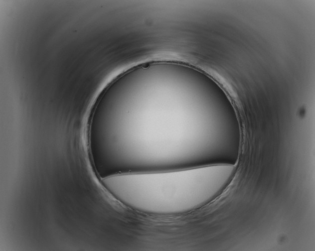 X0000103441342200809121052