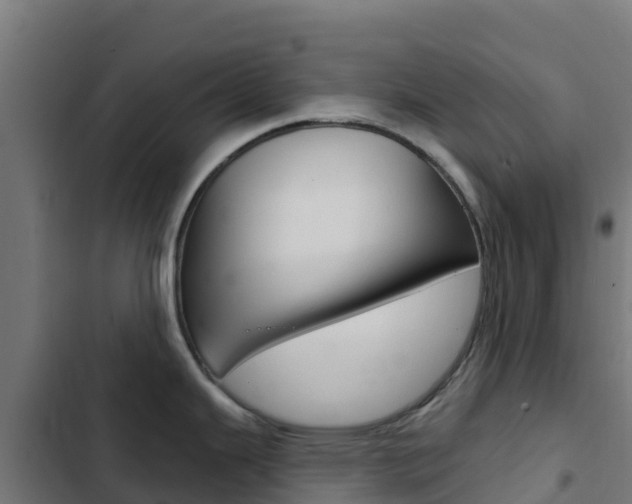 X0000103441343200809121052