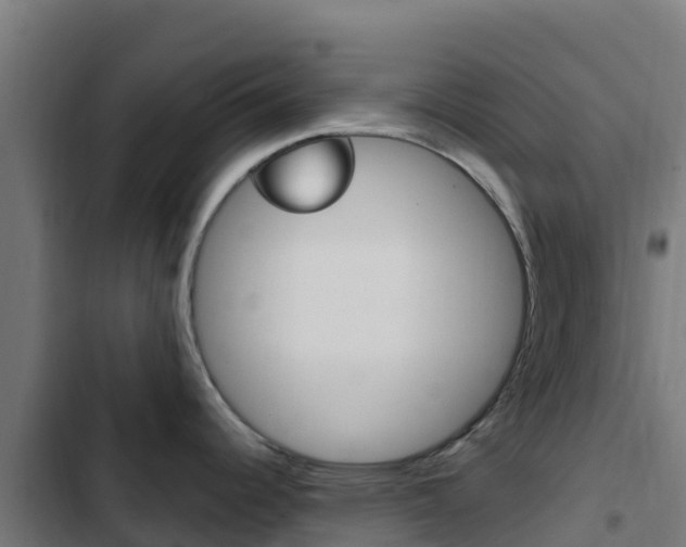 X0000103441344200809121052