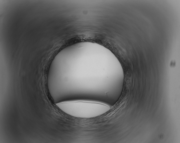 X0000103441345200809121051
