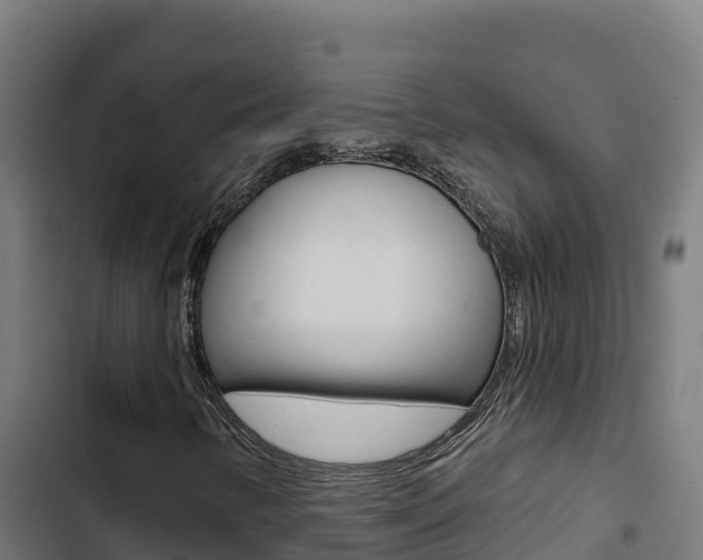 X0000103441346200809121051