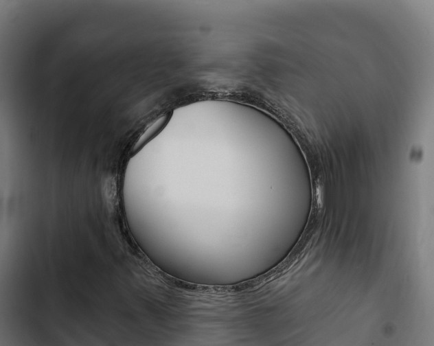 X0000103441347200809121051