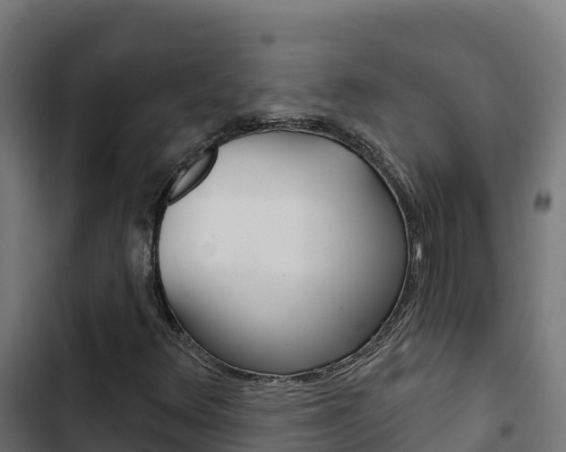 X0000103441348200809121051
