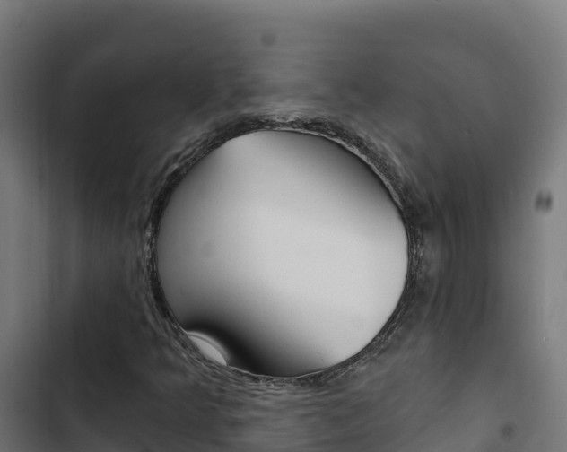 X0000103441349200809121051