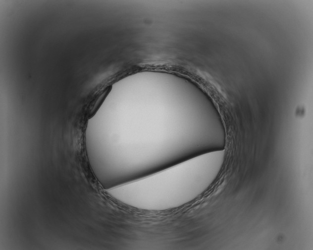 X0000103441350200809121051