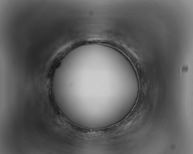 X0000103441351200809121051