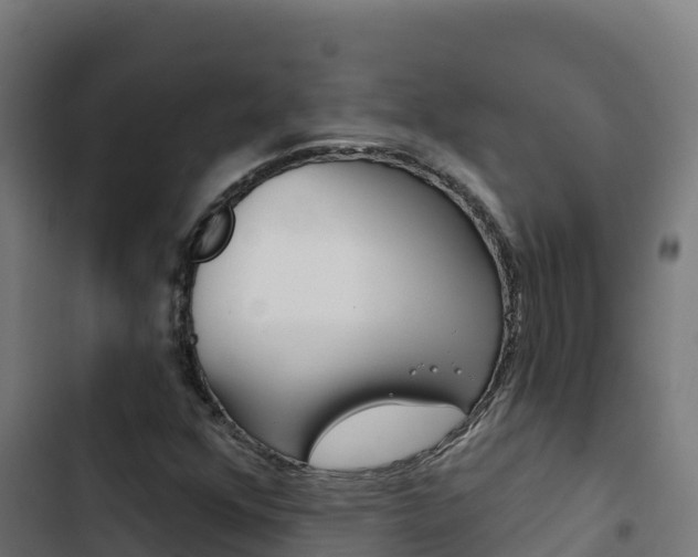 X0000103441352200809121051